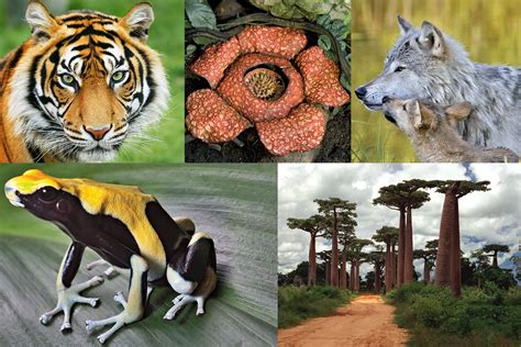 Endangered Species Day | Britannica