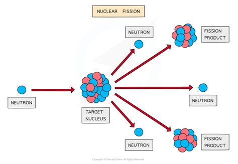 37+ Nuclear Fission Diagram - SerafimSara