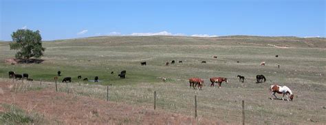 Nebraska-sandhills-two-2006