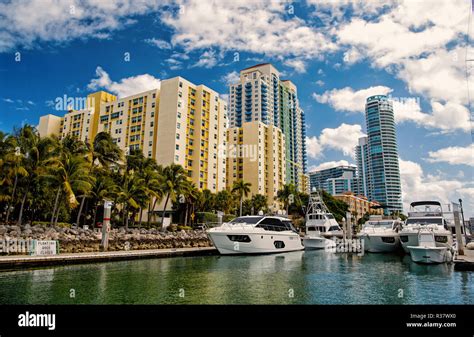 miami, florida View of luxurious boats and yacht docked in a Miami Beach Marina Stock Photo - Alamy