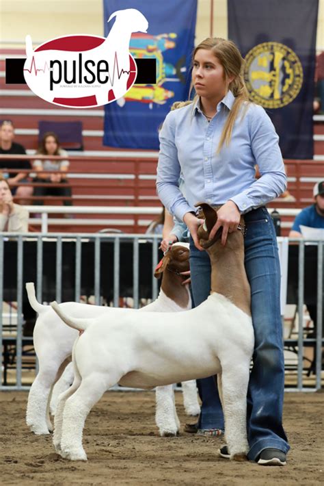 National Boer Goat Show | Market Wethers | The Pulse