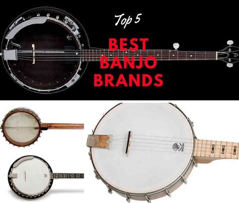 Top 5 Best Banjo Brands for Beginning Banjo Players - Guitar Space