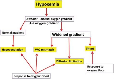 Hypoxemia definition, symptoms, diagnosis, treatment & prognosis