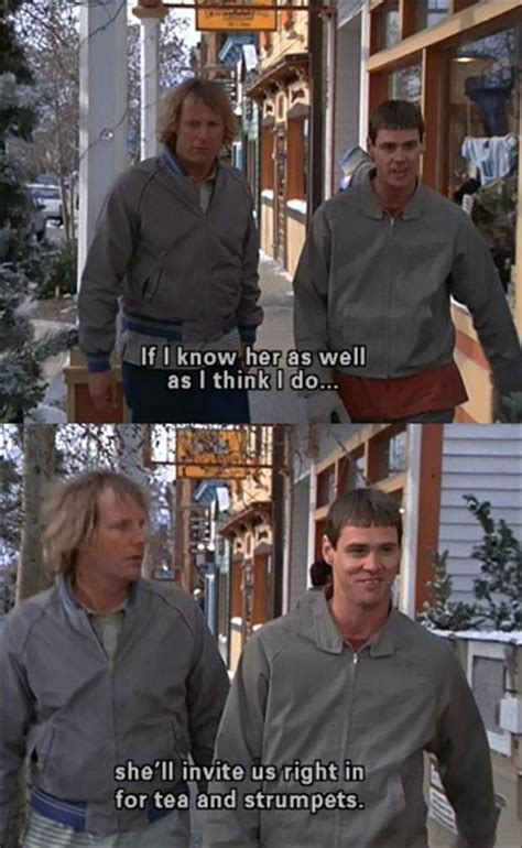 20 Funny Dumb And Dumber Quotes That I Still Use In My Everyday Life