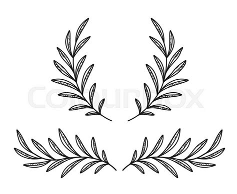 Olive Leaf Drawing at GetDrawings | Free download