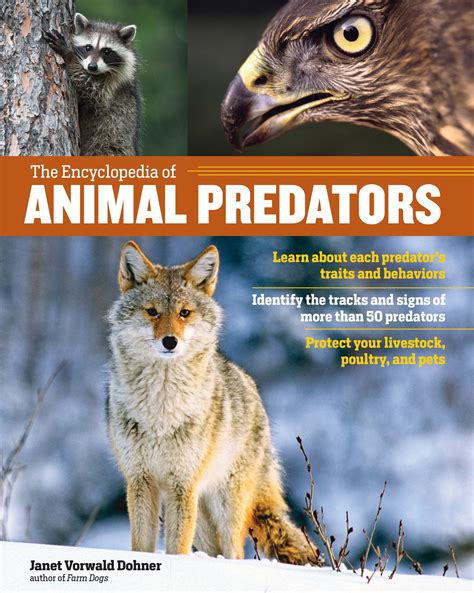 Encyclopedia of Animal Predators - Paperback - Walmart.com - Walmart.com