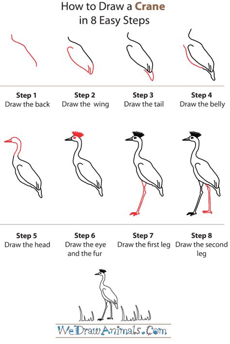 How to Draw a Crane Step by Step