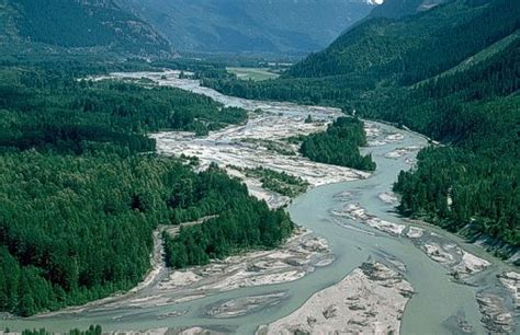 Landforms in the World: Fluvial Landform ( 07.Braided Channel )