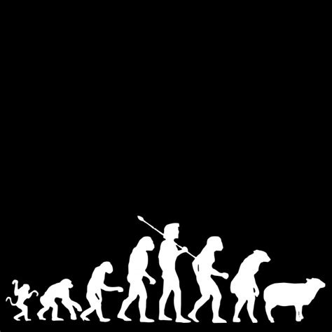 Darwin Evolution Free Stock Photo - Public Domain Pictures