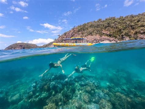 The Best Snorkelling Tour Airlie Beach