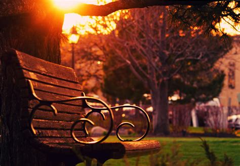 Brown Wooden Bench on Sunset · Free Stock Photo