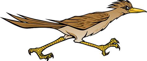 Roadrunner Clipart & Roadrunner Clip Art Images - HDClipartAll