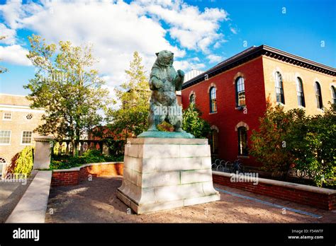 brown university mascot bruno bear statue Stock Photo: 89233215 - Alamy