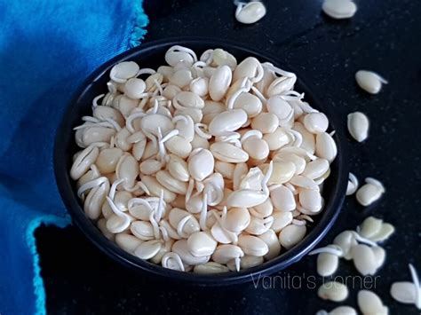 Sprouting of lima beans | How to sprout and peel vaal - Vanita's Corner