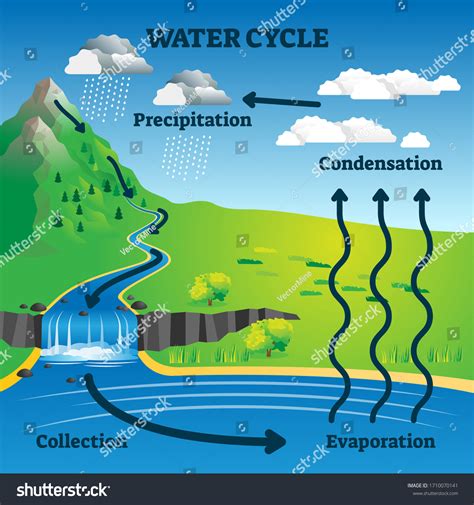 Water Cycle Diagram Labeled For Teenagers