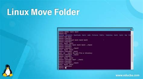 Linux Move Folder | How to Move a Folder in Linux | Examples