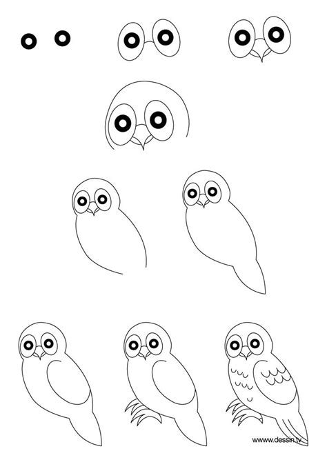 How To Draw A Owl Step By Step | learn how to draw a owl with simple ...