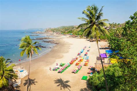 Baga Beach - Goa: Get the Detail of Baga Beach on Times of India Travel