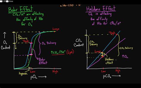 Bohr Effect and Haldane effect for blood? : Mcat