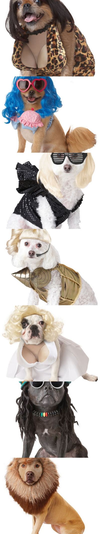 TOP 7 Crazy Costume Dog | Crazy costumes, Dog costumes, Dog dresses