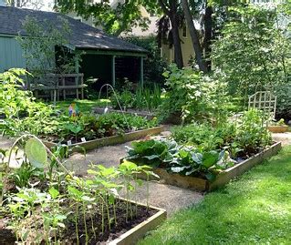 Raised Bed Garden | Vegetables, flowers, and fruit. | Lori L. Stalteri ...
