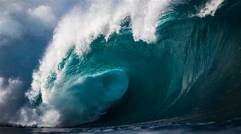 Fun Facts About Tsunamis: Unleashing the Secrets of Nature's Powerhouse!