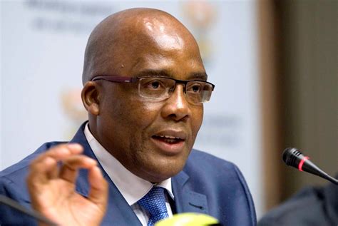 Millions spent on deporting illegal immigrants, Motsoaledi reveals | News24