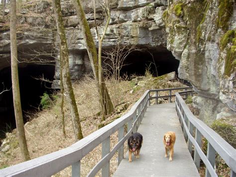 hikewithyourdog: Russell Cave National Monument