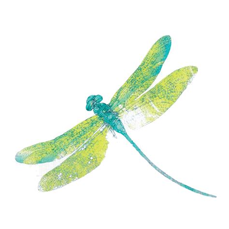 Dragonfly PNG Free Download | PNG Mart