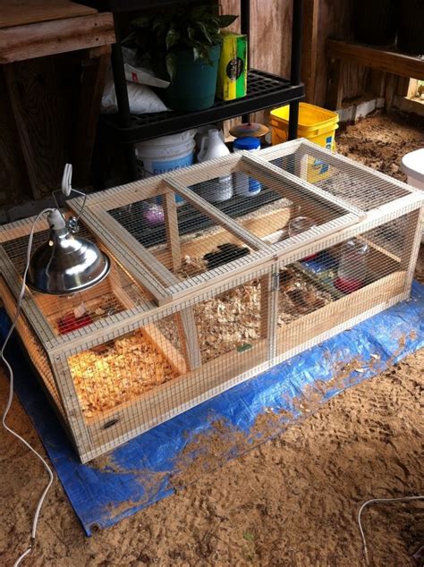 brooder box for chicks A great idea. One for each of my kids, who will be raising their own ...