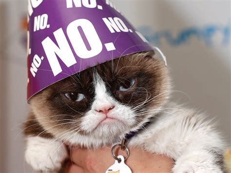 Birthday Hat Grumpy Cat