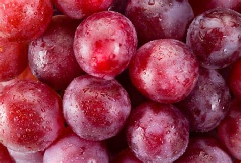 Ruby Roman Grapes - Minneopa Orchards