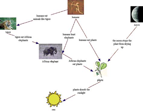 Food Chain & Nutrition - The African Elephant