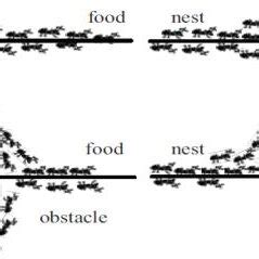 Self-adaptive Behavior of Ant Colony: (A) Real Ants Follow a Path... | Download Scientific Diagram