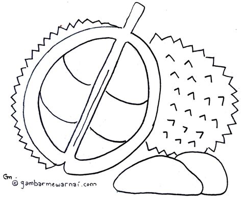 Durian fruits coloring pages – Artofit