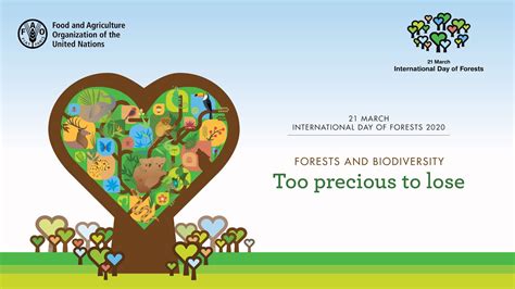 International Day of Forests 2020: Virtual programme - YouTube