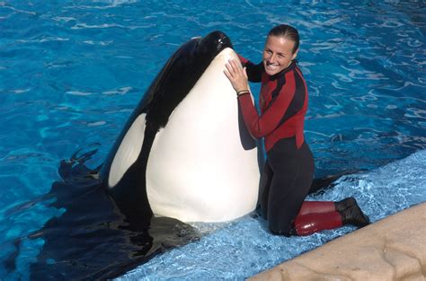 Amid ‘Blackfish,’ SeaWorld to expand orca environments - The Columbian