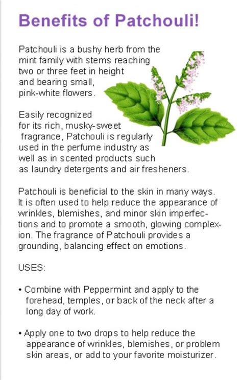 Benefits of Patchouli essential oil Patchouli is a bushy herb from the mint family. # ...