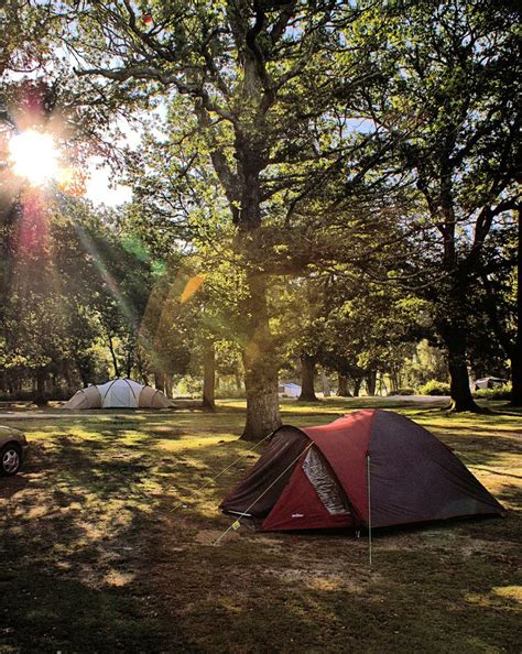 Hollands Wood Campsite nr Brockenhurst - Camping in the Forest. Me and Neil's first camping ...