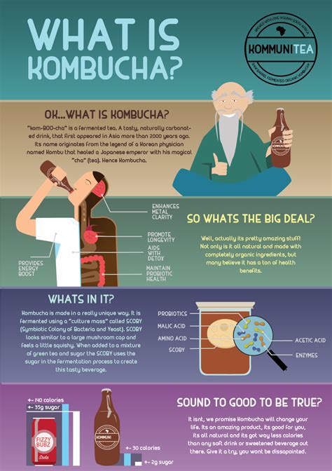 5 recetas de kombucha con 5 ingredientes – Artofit