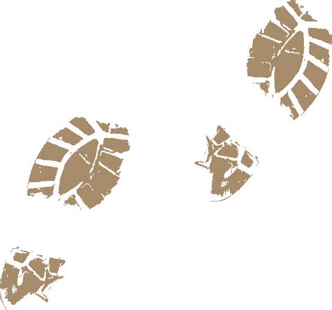 Muddy Footprints Illustrations, Royalty-Free Vector Graphics & Clip Art ...