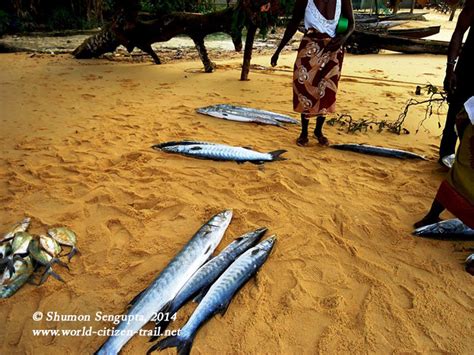 The Little Island off Lakka Beach, Sierra Leone – World Citizen Trail