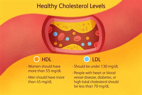 What Is Good Cholesterol and How Do I Boost It?