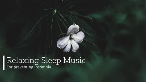 Calming Music to Sleep - For Preventing Insomnia - YouTube