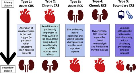 Heart Failure and Kidney Disease: The Next Epidemics | Cardiometabolic-CE