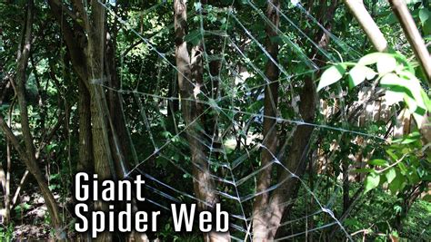 Giant Spider Web : 9 Steps (with Pictures) - Instructables