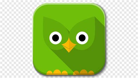 Green bird logo, owl yellow font, Apps Duolingo, english, spanish png ...