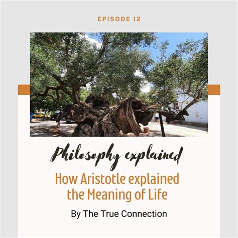 How Aristotle explained the Meaning of Life - Ancient Greek philosophy ...