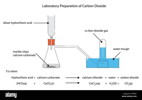 Diagram of the laboratory preparation of carbon dioxide from Stock ...