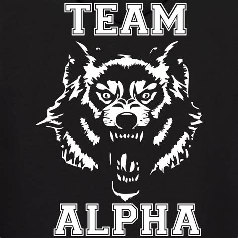 Sterek Shop | Team Alpha (dark) - Mens Hoodie